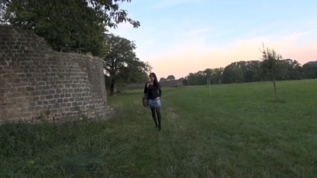 Baisée par un promeneur (1020)